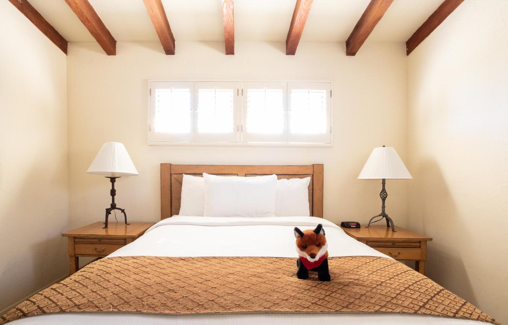La Casa Del Zorro & Spa